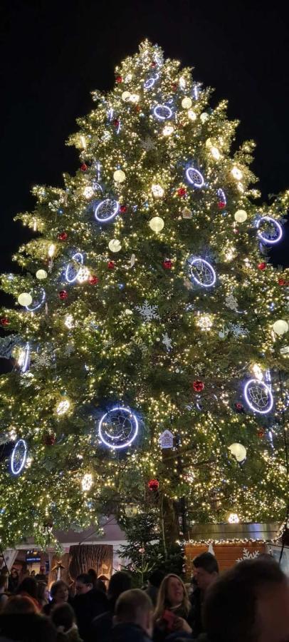 Gite Les Lavandieres Colmar Zewnętrze zdjęcie